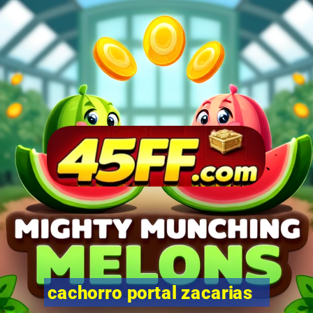 cachorro portal zacarias